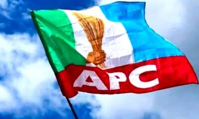 APC 1.jpg