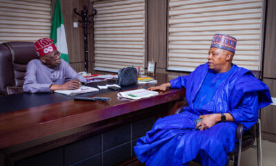 Tinubu Shettima 1.jpeg