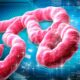 Ebola has killed 69 guinea january.jpg
