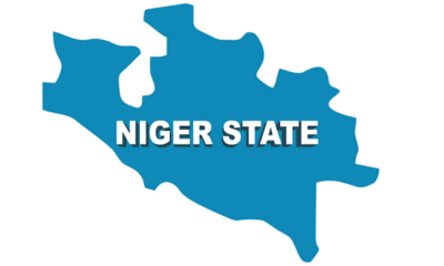 Niger state .png