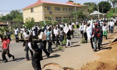 Plateau students.jpg