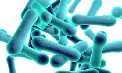 Diphtheria what is it how does it spread and what are the symptoms.jpg