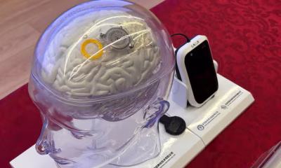 China , Brain Computer Devices,Elon Musk, Neuralink