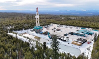 Mazama oregon.jpeg